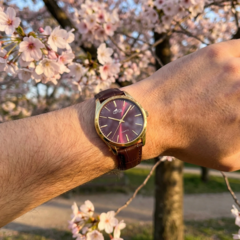 Montres Lotus MONTRE LOTUS MINIMALIST. 19067/3