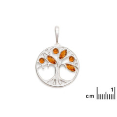 Collection Ambre Collier Argent Ambre AJW6-1003R