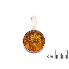 Collection Ambre Pendentif Argent Ambre GDW31R