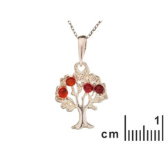 Collection Ambre collier Argent Ambre KM970WR