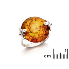 Collection Ambre Bague Argent Ambre GDP00282-1R-50