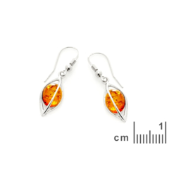 Collection Ambre BOUCLES D'OREILLES ARGENT AMBRE KM217KR