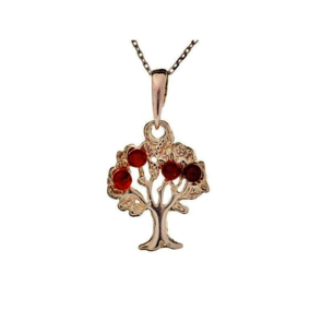 Collection Ambre collier Argent Ambre KM970WR